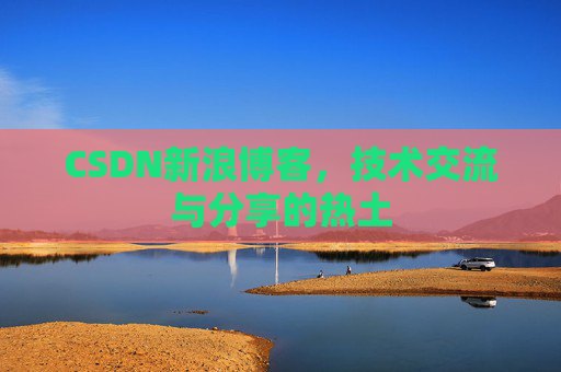 CSDN新浪博客，技术交流与分享的热土